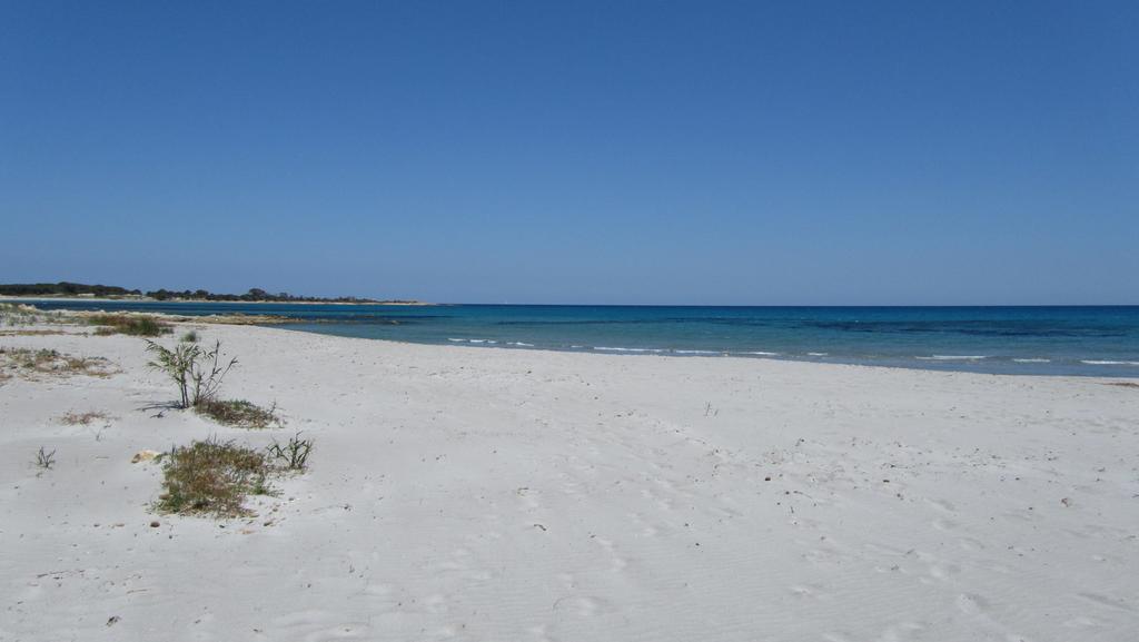 La Corte Degli Ulivi Appartamenti Cala Liberotto Quarto foto